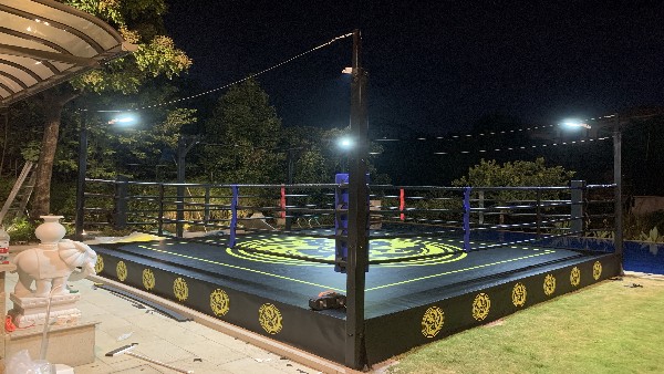 Easy Install Boxing Fighting Ring 18ft 20ft Free Standing Boxing Ring