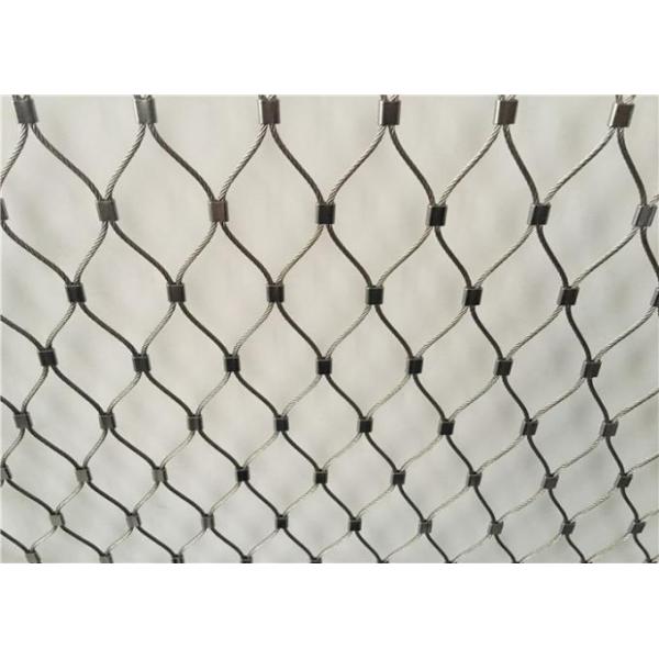 Stainless Steel Zoo Wire Mesh for Bear