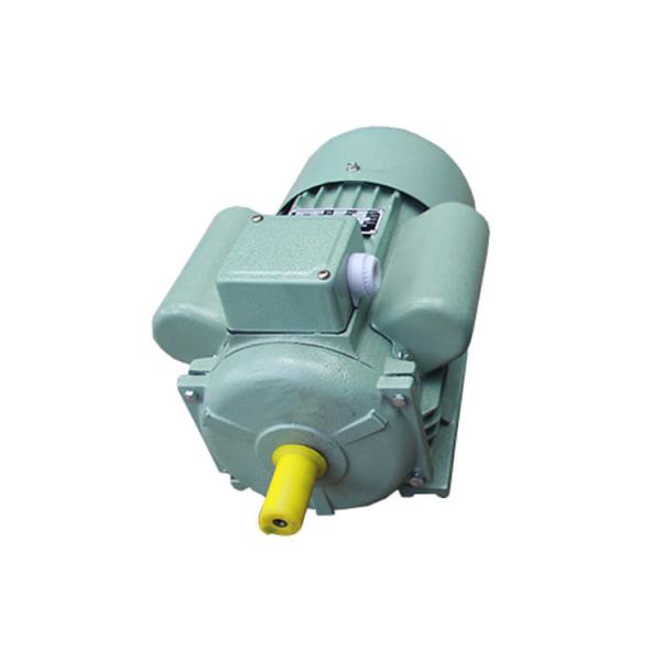 Quality Squirrel Cage Single Phase Induction Motor , Single Phase Asynchronous Motor For Machine Tools for sale