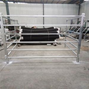 Wholesale Cattle Panels 50mm * 50mm RHS * 1.6mm thickness from china suppliers