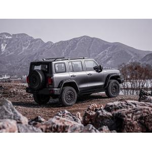 Good Condition New Version 3.0T Tank 300 SUV 4WD Hybrid EV Petrol New Car