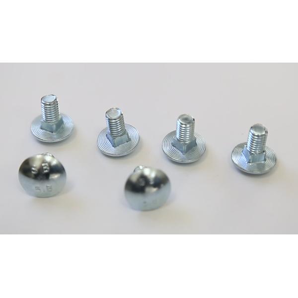 Stainless Steel Coach Round Head Carriage Bolt l SS304 SS316 SS316L A2 A4 DIN603