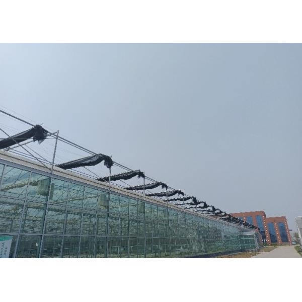 Modular Agricultural Greenhouse For Sale Dome Roof Cover Film Side Cover Multi Span Cucumber Lettuce Growing