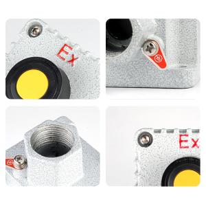ATEX Explosion Proof Control Button with Signal Light WF1 Grade
