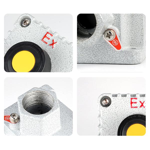Quality ATEX Explosion Proof Control Button with Signal Light WF1 Grade for sale