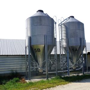 China's Prefabricated Steel Structure Chicken House Durable Poultry Farm