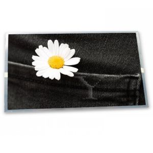 ODM 32.0-Inch WLED LCD Display Module P320HVN01.1 with 1920*1080 Resolution for