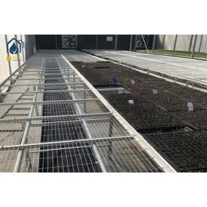Agriculture Greenhouse Clone Seed Rolling Bench Grow Tables Welded Mesh