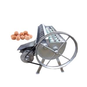Wholesale Practical Boiled Quail Egg Process Peeler Automatic Egg Peeling Machine from china suppliers