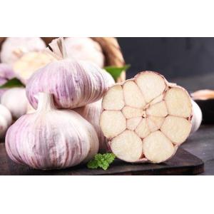 Antioxidants Powdered Garlicin Livestock Feed Additives With Extended Shelf Life