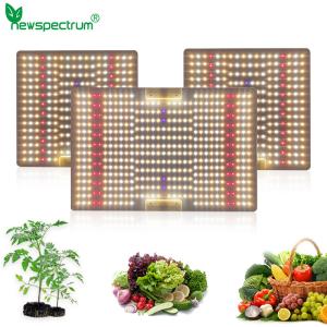 Full Power 100W Horticulture SMD Chip 3000K For Greenhouse Plants