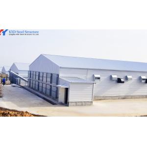 Prefab Steel Structure Poultry Farm Shed with Automated Feeding System