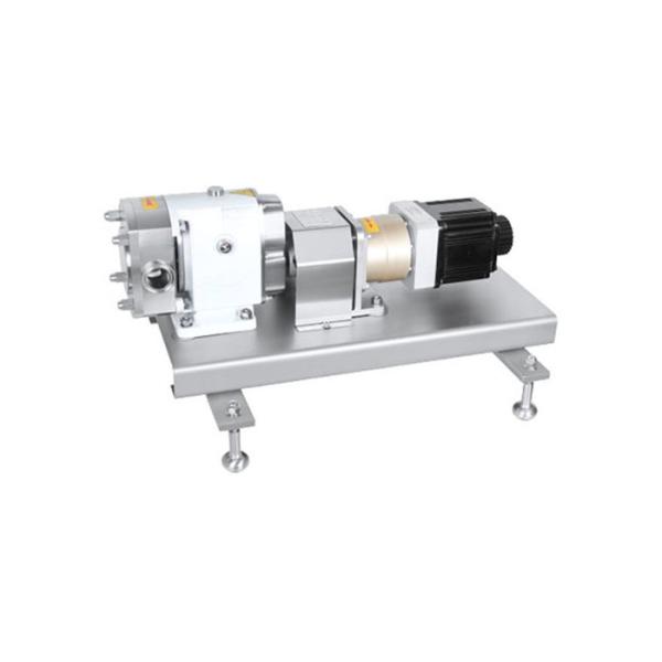 Quality TUL-23 High Purity  lobe rotary pump with servo motor for transfer  chocolate with 1.5" Connection for sale