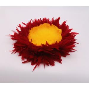 30*30 cm Handmade Hawaiian Feather Rattles Dyed Pattern Design