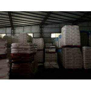 High Transparent Nylon 12 Material UV Resistant Plastic Glasses Frame