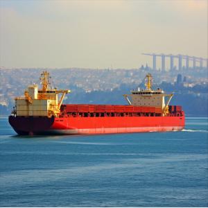 International Ocean Freight forwarding Services LCL FCL Agent From China to Peru