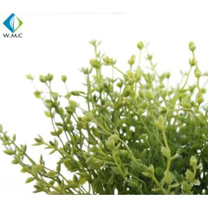 Living Room Artificial Green Plants 20cm Height Customized Design