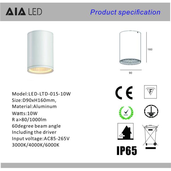 IP65 waterproof ceiling mounted TRIAC dimmable downlight 10W 0-10V dimmable outdoor down light &exterior downlight