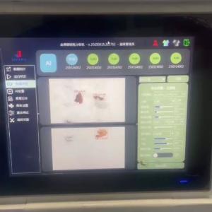 Wholesale Walnut Kernel Sorting Machine AI-Powered Industrial-Grade Stability Real-Time Monitoring For Intelligent Nut Processing from china suppliers