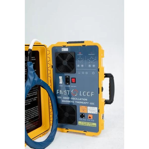 PEMF Pulsed Electromagnetic Therapy Machine PMST Loop Pain Relief And Rehabilitating