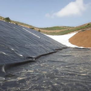 ASTM GRI-GM13 Prefabricated HDPE Geomembrane Fish Pond Liner 1mm for Artificial