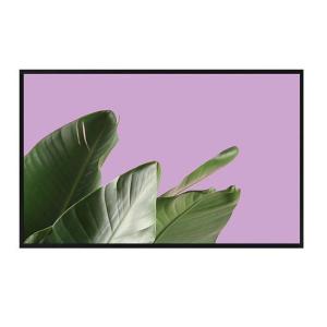 49" Sunlight Readable LCD High Brightness High Tni Lcd FHD DLED Design