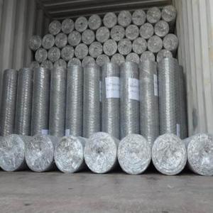 Galvanized Wire Mesh Chicken Wire Mesh With Hexagonal Wire Netting