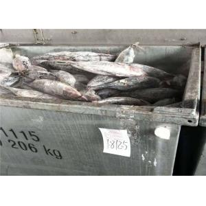 Wholesale Omega 3 Natural Color 500g 1.8kg A Grade Fresh Skipjack Tuna from china suppliers