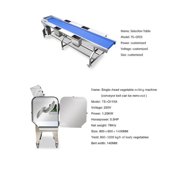 Vegetable Hair Roller Bubble Washing Selection Cutting Machine Production Line