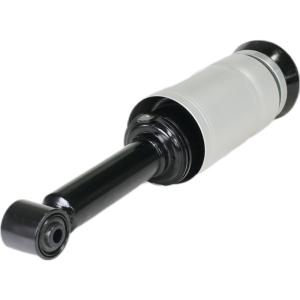 Front Land Rover Air Suspension Shock Kits Assembly W/O ADS For Discovery 3