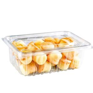 cake container with lid clear rectangle plastic blister bread box disposable