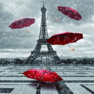 China Ready made classic plain blackout roller  fabric ready made classic on sale