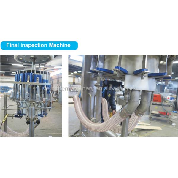 Auto Evisceration Equipment Final Inspection equipment for poultry processing Machinery