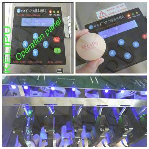 Free Upgrade Whole Tray Egg Jet Coding Machine With USB Disk Loading Easy To