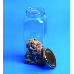 Lightweight Clear Plastic Boxes With Lids Square Body Screw Lid Sealing