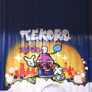 Tekoro 400ml Eco-Friendly Quick Drying Graffiti Spray Paint with 12PCS/CTN