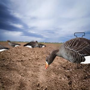 Anti Reflective Goose Hunting Decoy PP Goose Silhouette Decoys Customized