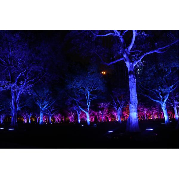 Architectural lighting IP67 outdoor DMX/RDM RGBW 36W customized for garden led tree flood light