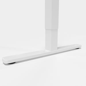 Customized Leisure Sit and Stand Up Desk with Double Motor Adjustable Height