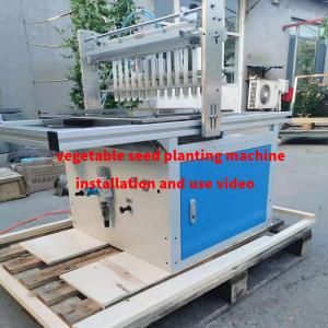 200 Tray Per Hour Black Tray Cabbage Seeding Planting Machines Automatic for