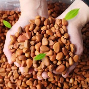 Larger Capacity Pine Nuts Color Sorter With FPGA Process Chip