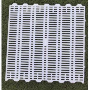 PSF-01 50mm Plastic Slat Floor Poultry Broilers For Piglet