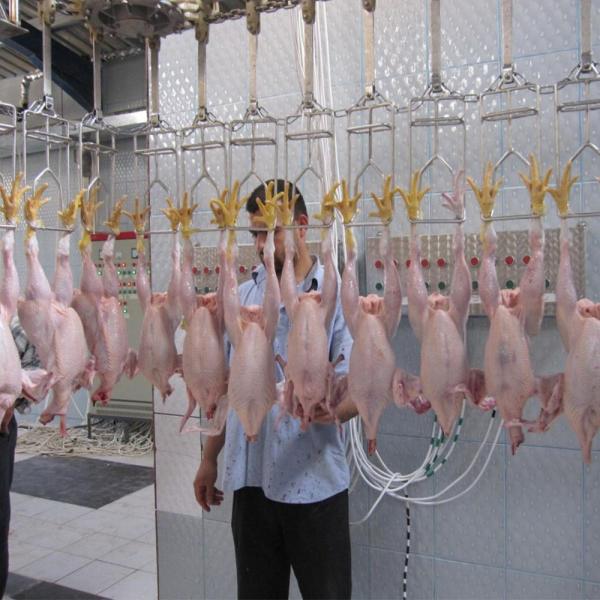 Automatic chicken slaughtering machine chicken skin peeling equipment