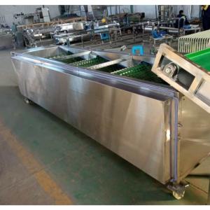 Onion Sorting Machine, Onion Grading Machine, Onion Sorter Machine