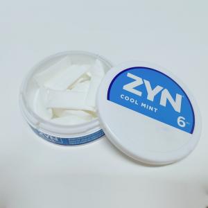 2024 2025 ZYN nic pouches Various flavors and variable content