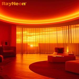 10mm Wide RGB COB LED Flexible Strip Lights 24V IP67 Flexible LED Neon Light