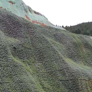 Zero Pollution PP PET Slope Protection Geobag with ASTM GRI-GM13 Standard 810mm