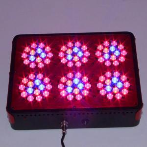 Wholesale 2016 New Design Apollo 6 LED Grow Lights Cheap Grow Lights with CE/Rohs/PSE Passed 3 years from china suppliers