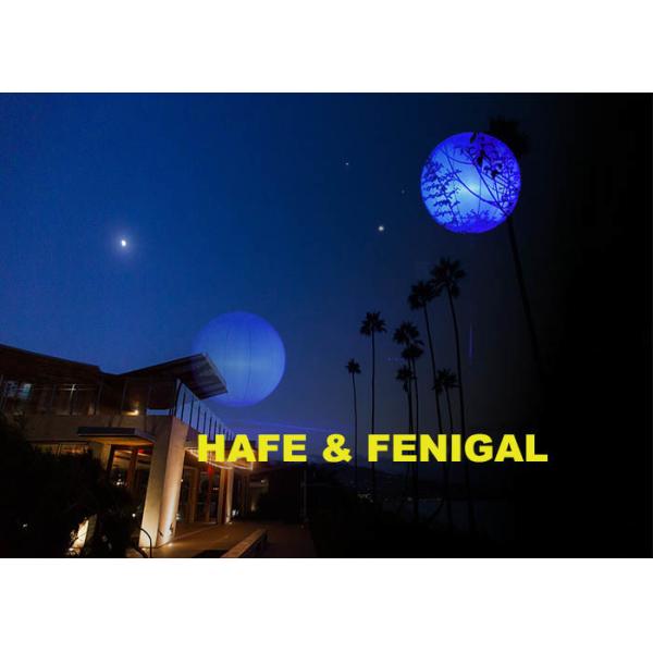 CE Balloon DMX512 Control Inflatable Lighting Decoration