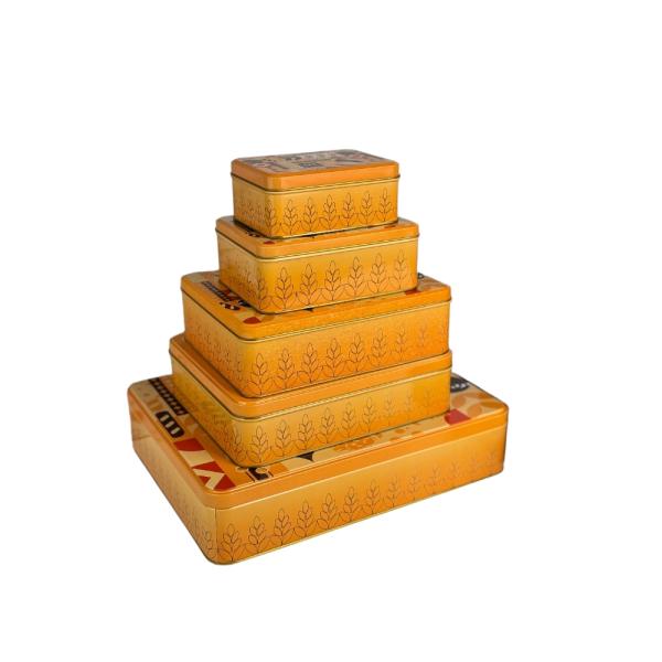 DADI Glossy Rectangular Storage Biscuit Tin Box For Christmas Cookie Gift Package OEM ODM